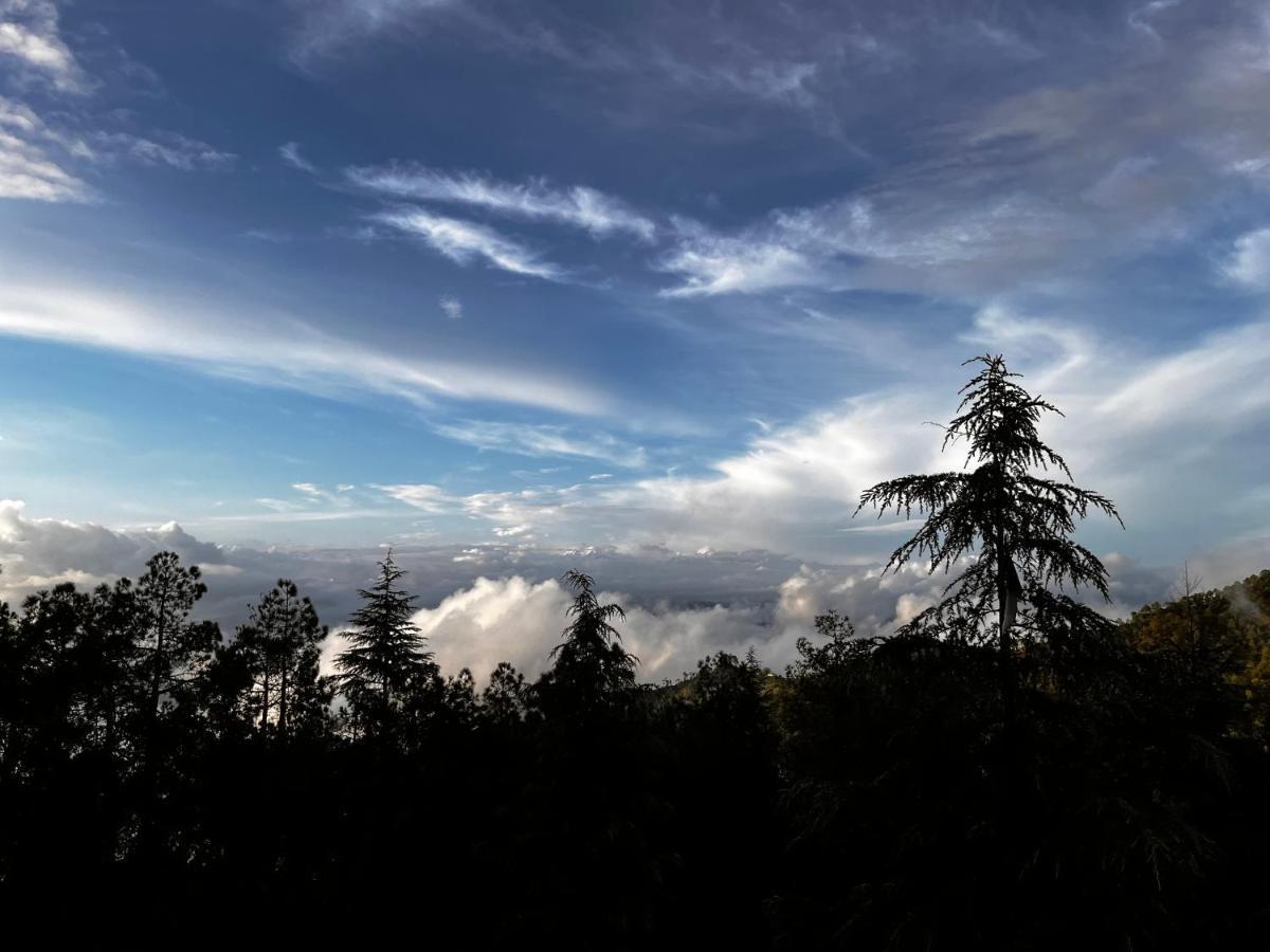 The Roots Homestay Almora Dış mekan fotoğraf
